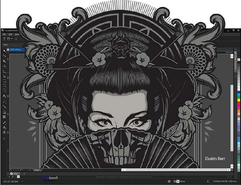 Corel Draw Graphics Suite 2019 Vollversion Windows PKC Dauerlizenz OVP ...