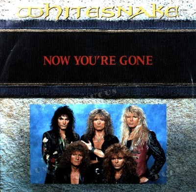 Whitesnake - Now You're Gone 7in 1990 (VG+/VG+) '*