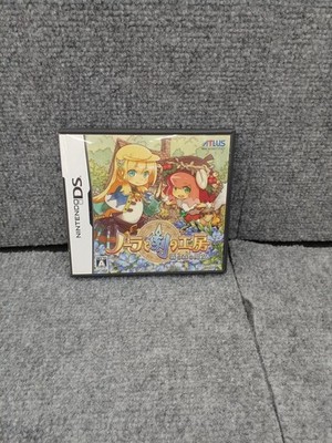 ATLUS DS Soft Nora und Gravurwerkstatt Nebelwaldhexe gebraucht