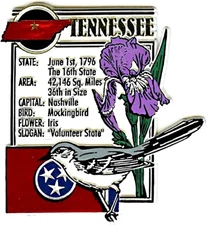 Tennessee the Volunteer State Montage Fridge Magnet