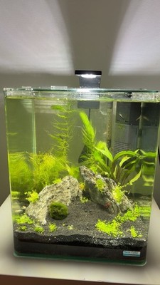 Dennerle Nano Cube Aquarium 30l mit Zubehör