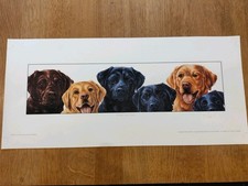 Paul Doyle Signed Labrador Print, Three Two One Chocolate, Black And Golden Labs