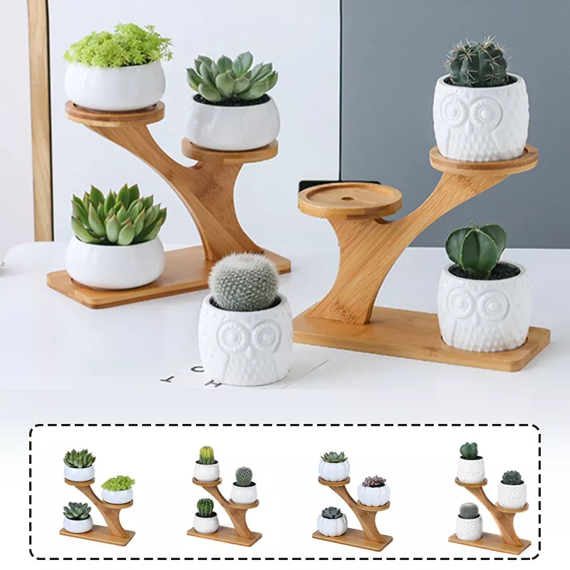 Cheap ceramic flower pots deals