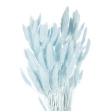 120 St&uuml;ck Nat&uuml;rliche Kaninchenh&auml;schen-Schw&auml;nze Getrocknete Blumen 24" , Hellblau