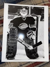 1986 NHL HOCKEY TYPE 1 PHOTO RICHARD BRODEUR GOALIE MASK VANCOUVER CANUCKS AHL