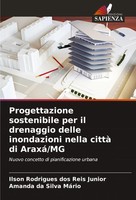 Progettazione Sostenibile Per Il Drenaggio Delle Inondazioni Nella Città Di...