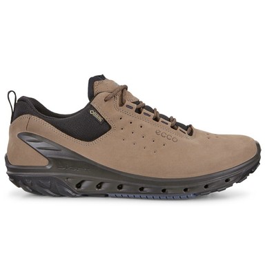 ecco biom venture gtx birch