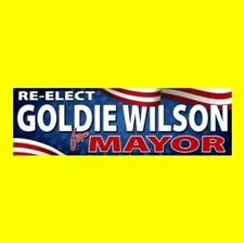 Funny "RE-ELECT GOLDIE WILSON" Back to the Future prop BUMPER STICKER, movie new