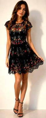 Parker Janina Black Embroidered Sequin Lace Mini Dress Sz M