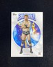 2025 Topps Exalted WWE Wrestling Trading Card Base #50 Sheamus RAW ND24
