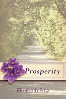 Elizabeth Fritz | Prosperity | Taschenbuch | Englisch (2011) | iUniverse