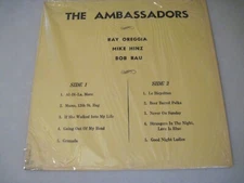 THE AMBASSADORS weird garage polka instrumentals private label (20)