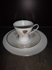 Rosenthal Form 2000 Schattenrose 1 Kaffeetasse & Untertasse ,Kuchenteller Gedeck