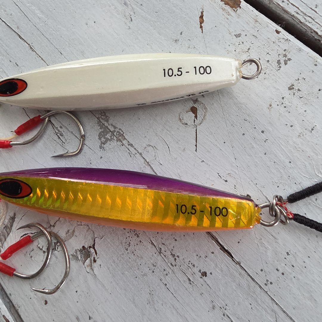 Daiwa Saltiga VS Jig 10.5 - 100 2 pieces - Image 3