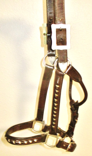 Vintage Silver laced Dark Oil Leather Show halter- Horse Size-Adjustable