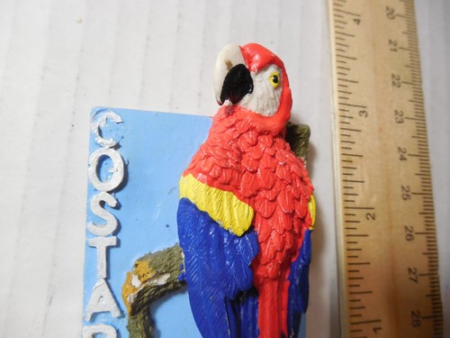 Imán nevera turística recuerdo vintage resina loro Costa Rica - Imagen 5 de 5