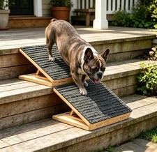 Dog Ramp for Stairs, Foldable Stair Wedges Assist for Small Dogs, 2 Pack