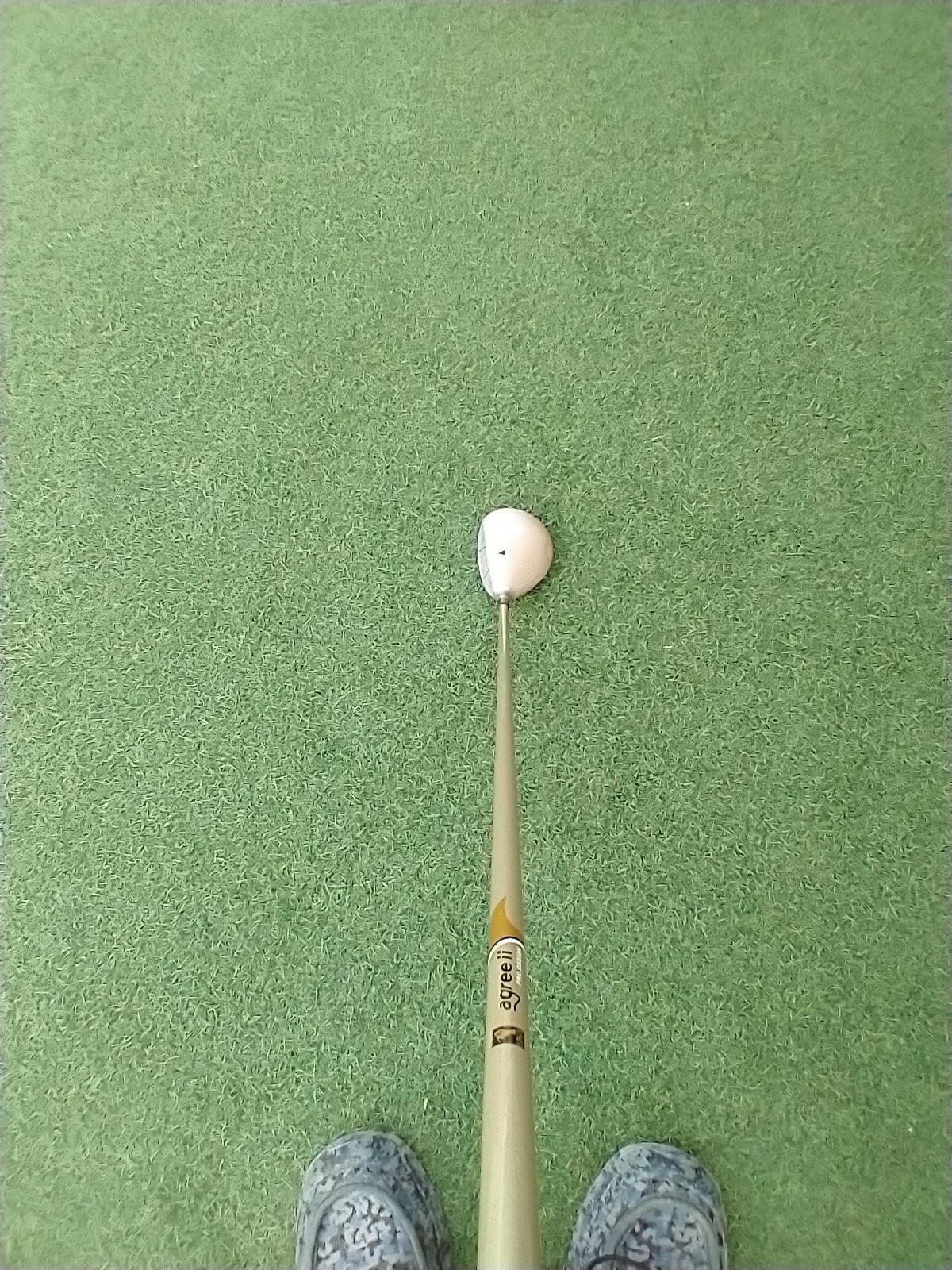 Picture 10 of 19