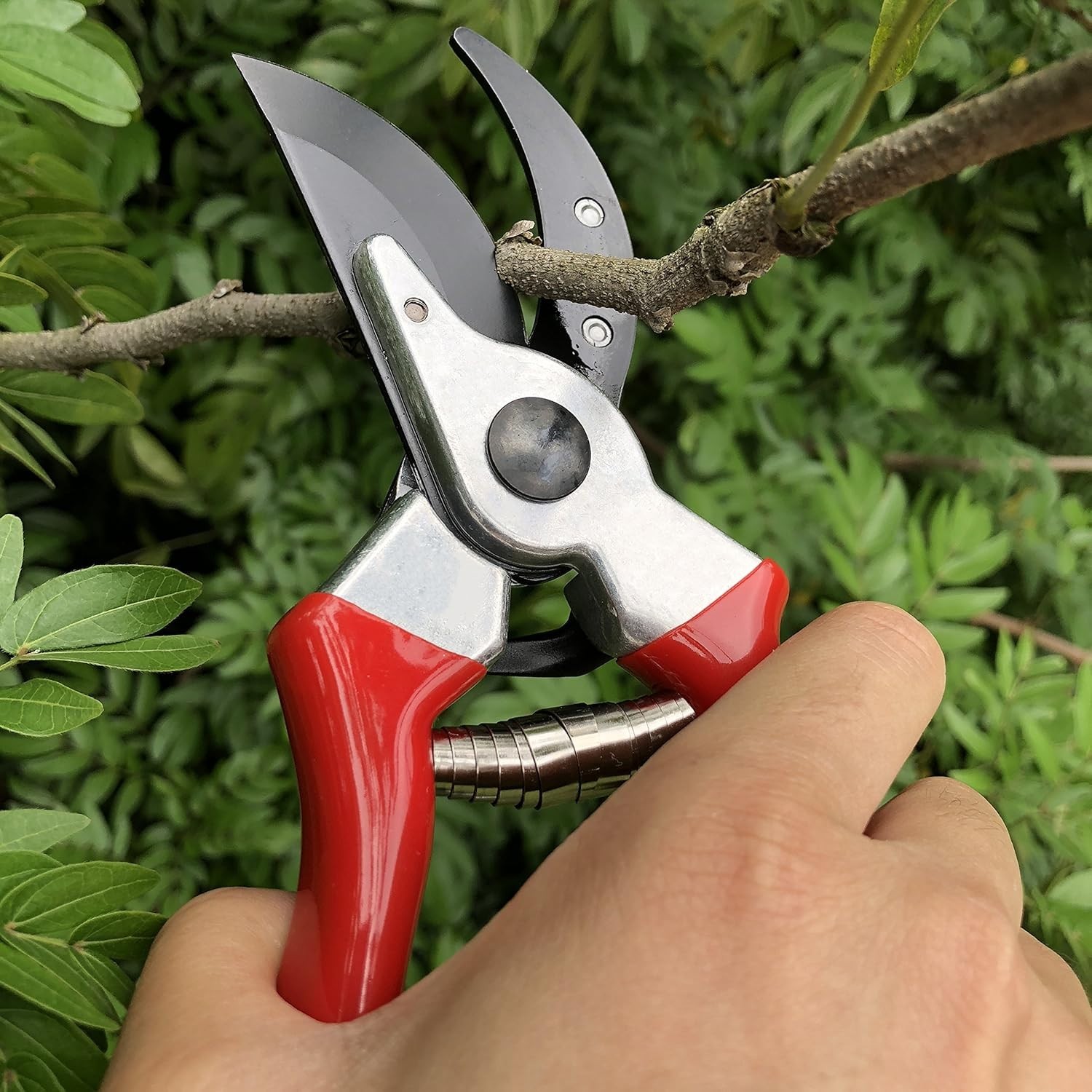 Durable 8" Hand Pruner - High Carbon Steel Garden Shears with Rust Protection