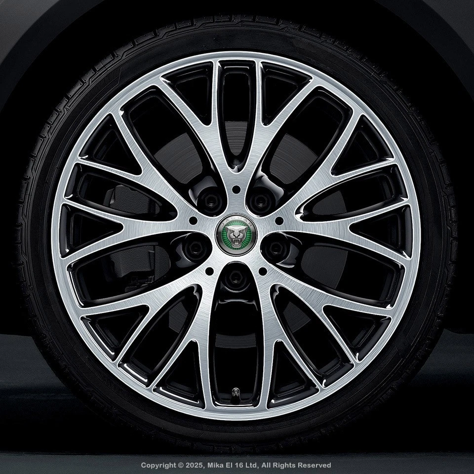 Jaguar Decals Set of 4 3D Gel Silicone Center Wheel Caps Stickers — 第 2/3 张图片