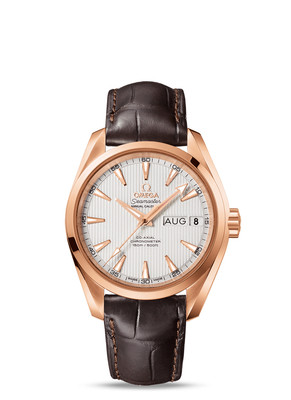 Omega 18K Gold Seamaster Aqua Terra Annual Calendar Watch 231.53.39.22.02.001