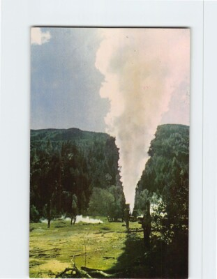 #ad Postcard Steamboat Geyser The Big Geysers Cloverdale California USA $4.95