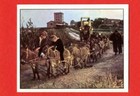 Bild 38 von 66