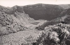 ESPAGNE-LA PALMAS DE GRAN CANARIA-CALDERA DE BANDAMA-N�7022-B/0359