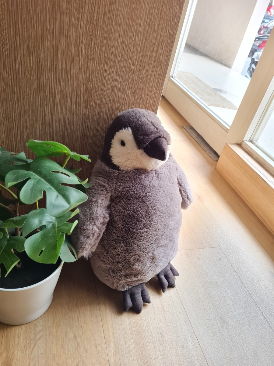 Jellycat Percy Penguin L Large Original New With Tag/ NWT | eBay