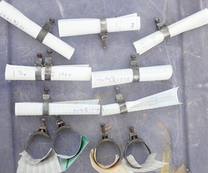 Pick 1 Vtg Automotive Radiator Wittek Tower Hose Clamp ,tested all are in stock