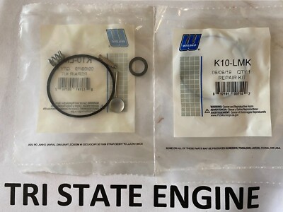 Genuine OEM Walbro K10-LMK Carburetor Repair Rebuild Kit Fits LMK Series Carbs