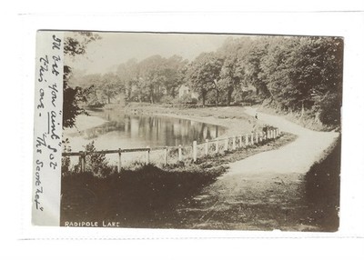 Echtfoto Postkarte von Radipole Lane in Weymouth Dorset in gutem Zustand