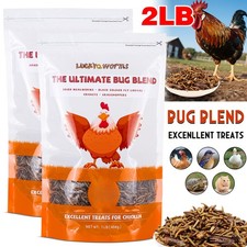 2 Lbs High Protein Dried Insect Trail Mix Natural Treat for Chickens Reptiles US