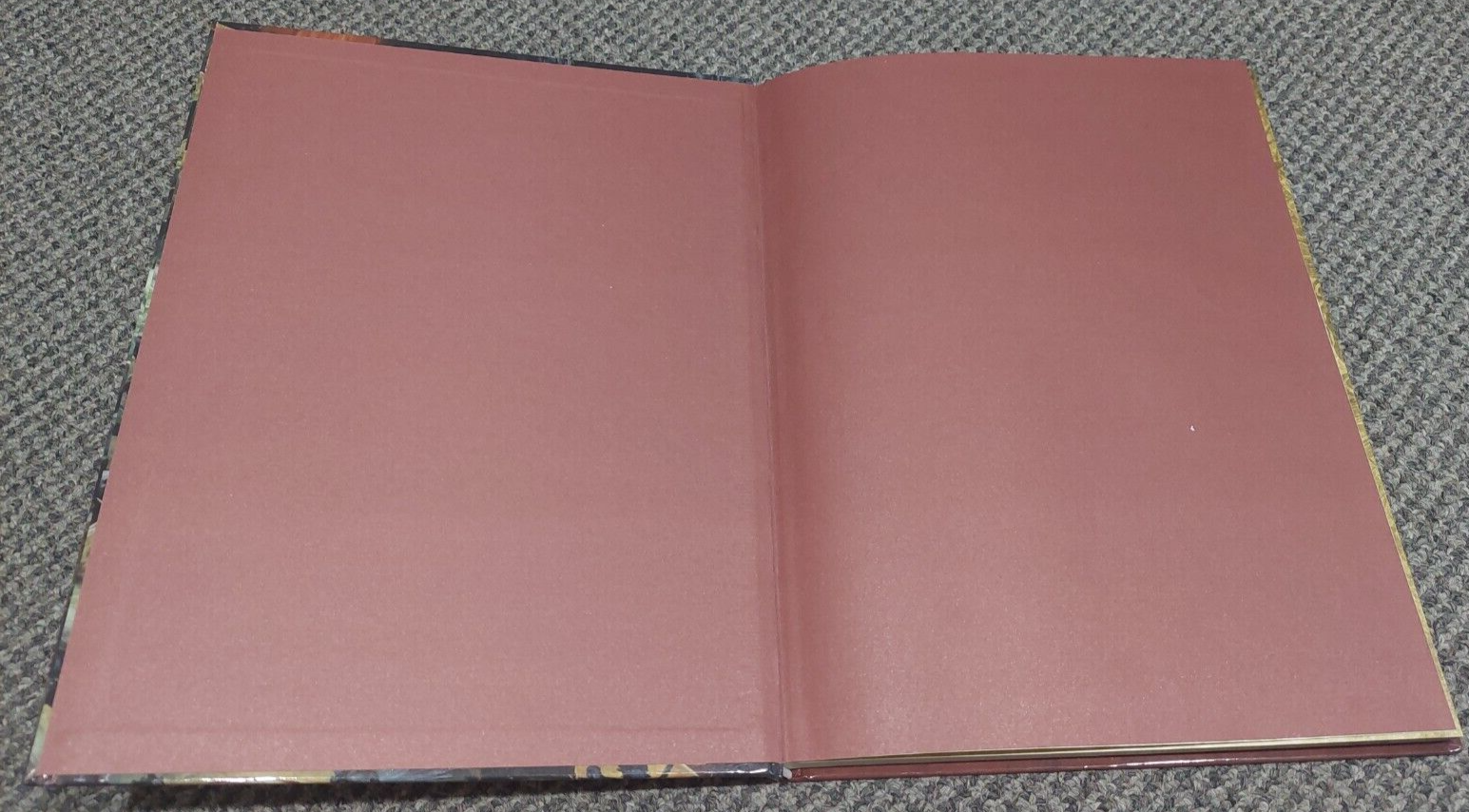 Picture 5 of 5