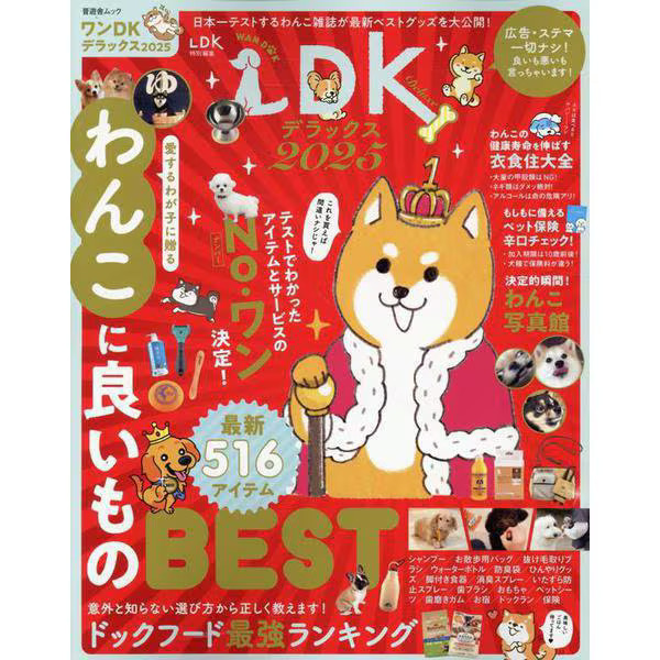 One DK Deluxe 2025 Mook Japan Import Official Excellent