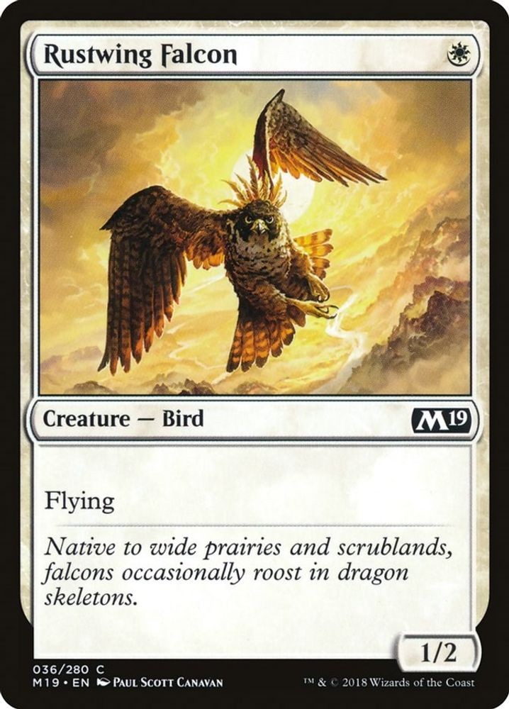 2018 Magic: The Gathering: Core Set 2019 - Rustwing Falcon (#36, C, Near Mint)