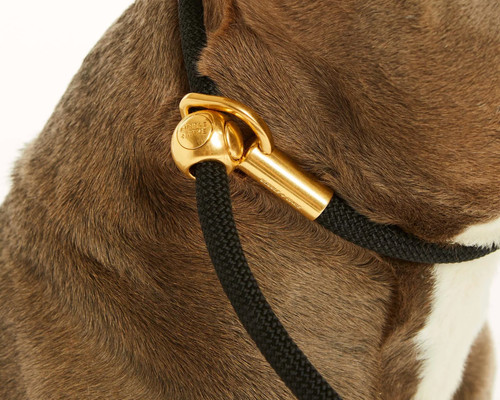 Bubble + Spike Simple Slip Lead/Leash - Black Gold