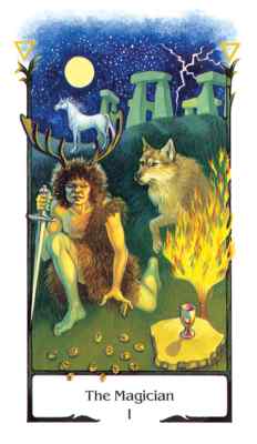 TAROT OF THE OLD PATH Deck Card booklet divination pagan wicca