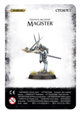 Tzeentch Magister NO BOX Warhammer 40K and Age Sigmar Wizard | eBay