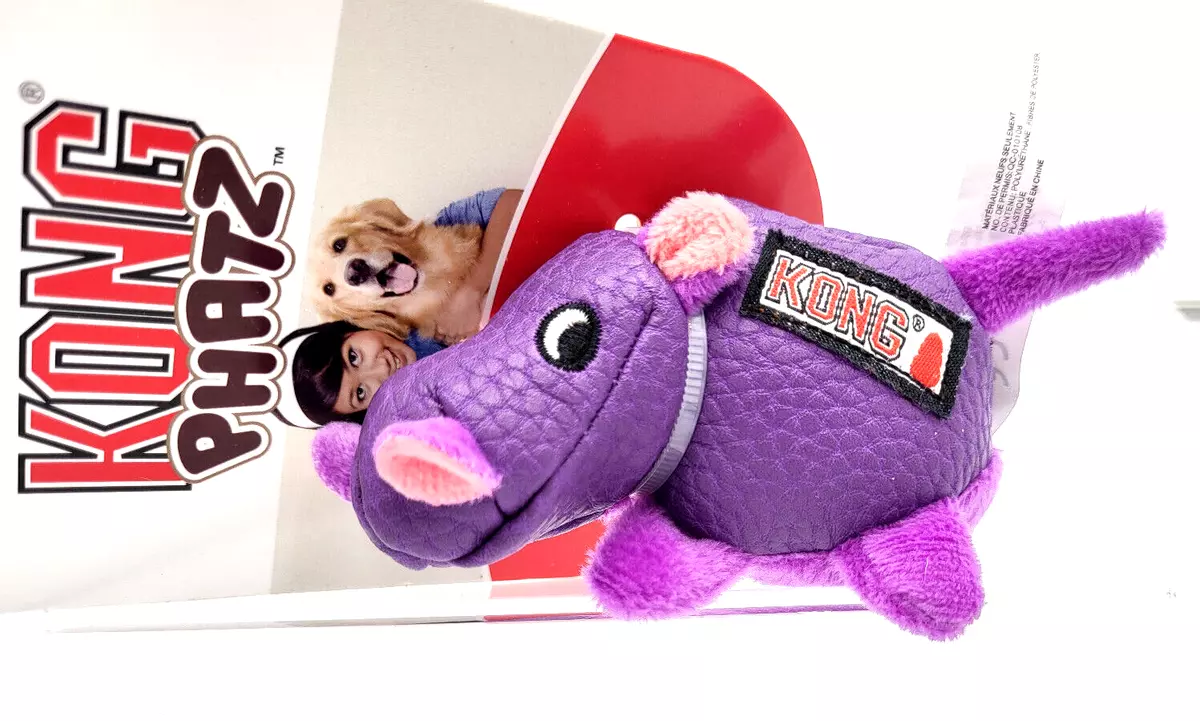 KONG Dr Noyz X-Small Plush Toys with Squeaker