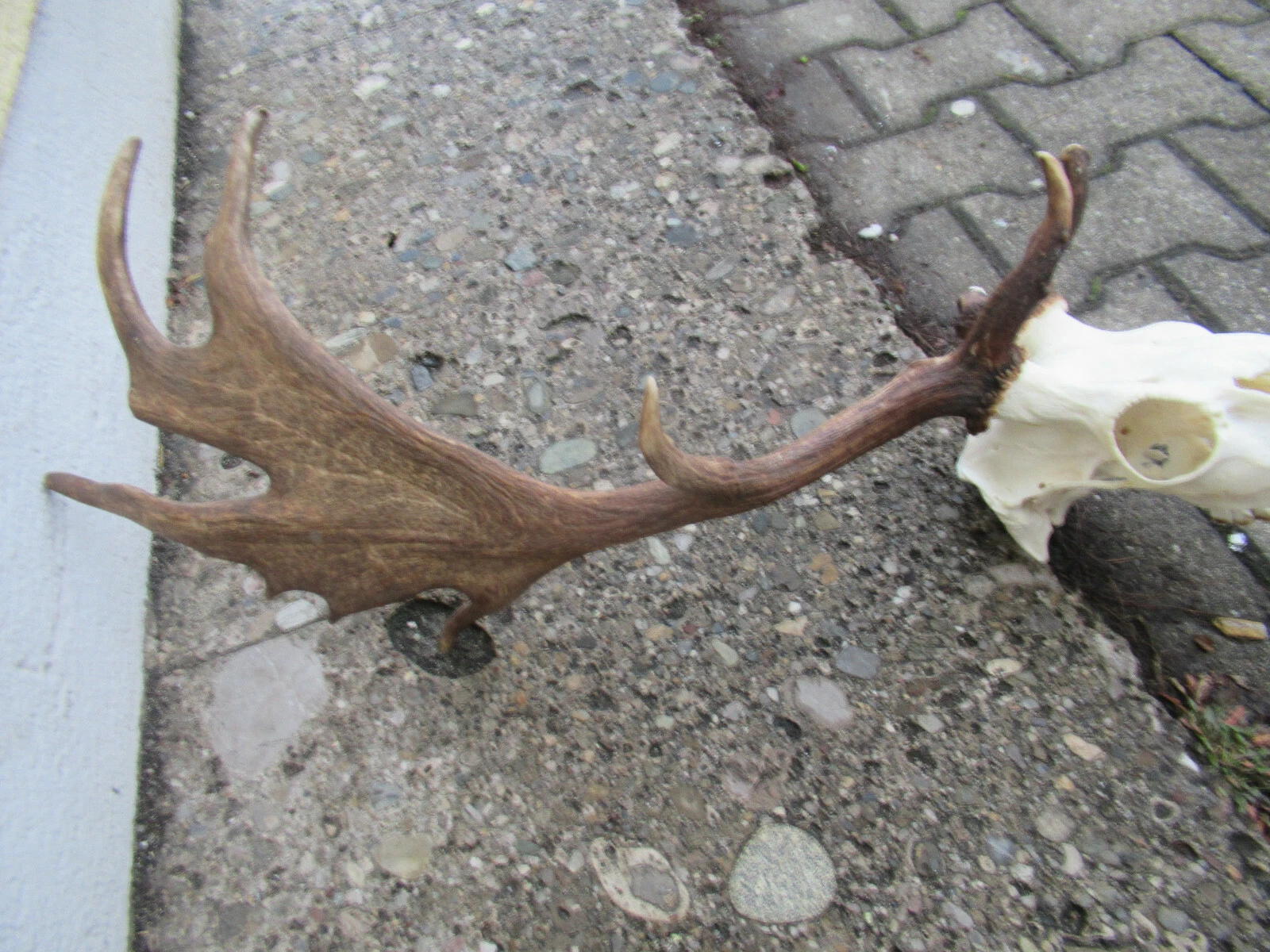 Bild 2 von 4