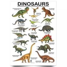 Dinosaurs Wall Chart Poster Educational Wallchart Children Print