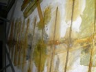 gorgeous HEAVY inlaid pietra dura marble table, imported from italy, brass legs — photo 9