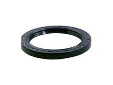 For 1976-1980 Plymouth Arrow Crankshaft Seal Rear 13618BXST 1977 1978 1979