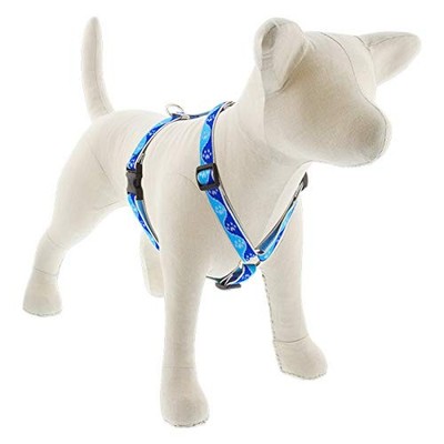 Lupine Reflective Small Adjustable Dog Harness 3/4'' Blue Paws, 12-20'' Girth