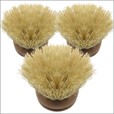 Replacement Head for the Tampico Vegetable & Dish Brush by LOLA Reusable