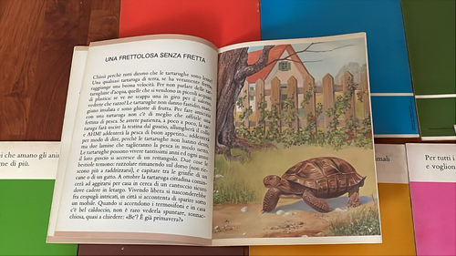 I MIEI PRIMI ANIMALI SERIE COMPLETA 8 LIBRICINI ILLUSTR.X BAMBINI-PICCOLI 1978 - Afbeelding 10 van 10