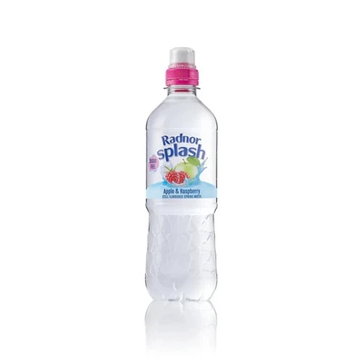 Radnor Hills Splash Still Water Apple Raspberry 500ml (Pack of 24) 0201046