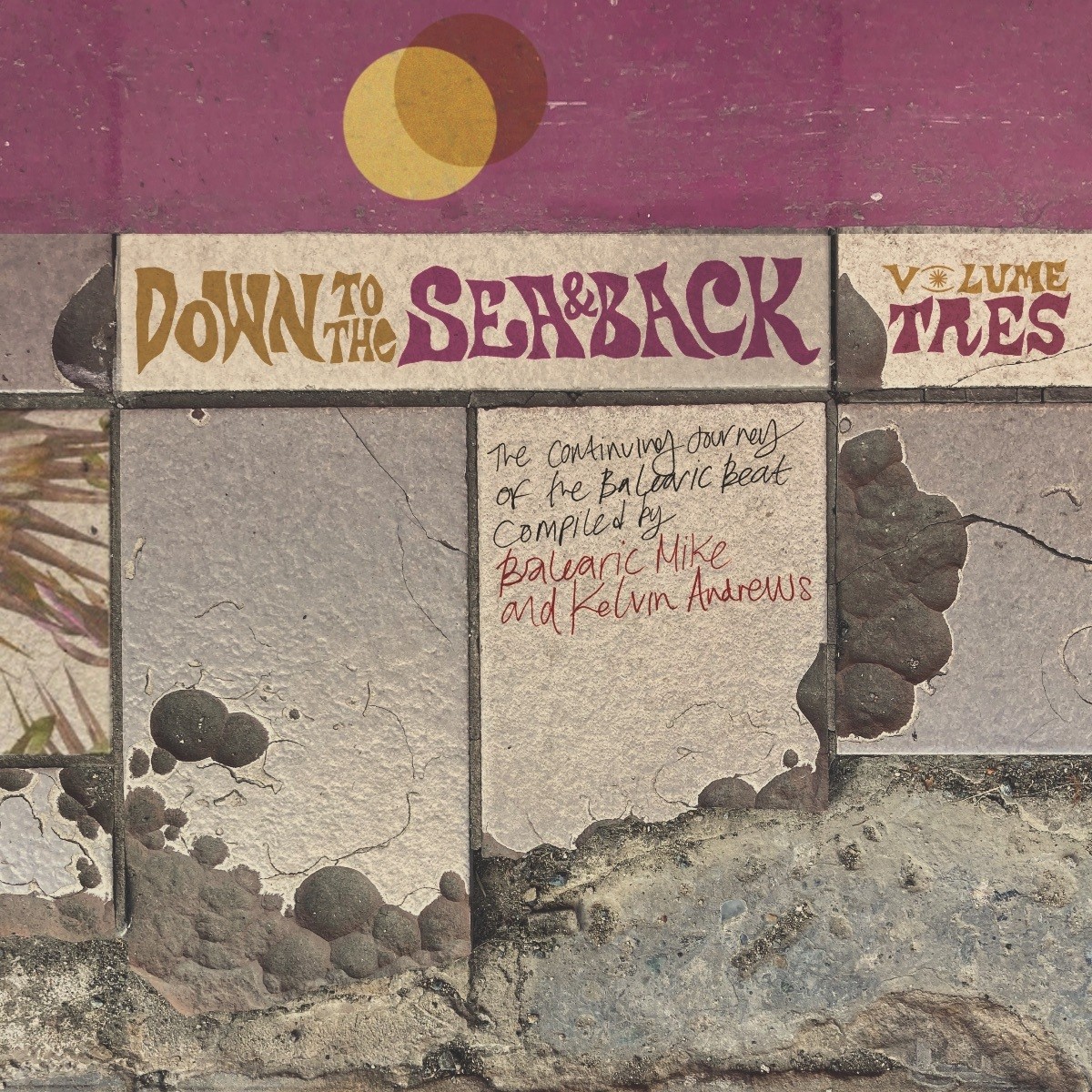 Различные исполнители Down to the Sea & Back: The Continuing Journey (CD) (ИМПОРТ из Великобритании)
