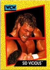 1991 Impel WCW Sid Vicious #29